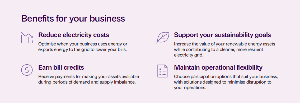 VPP Benefits